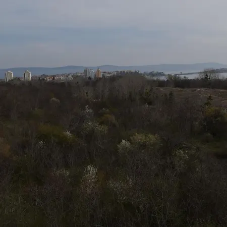 Chateau Del Marina Complex