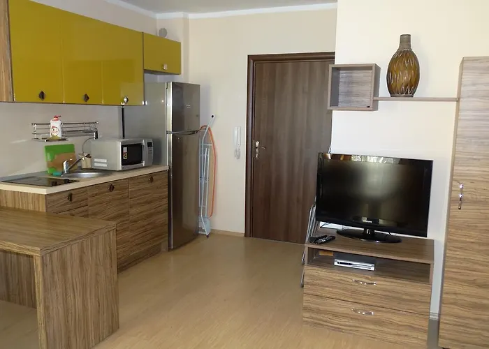 Chateau Del Marina Complex 4* 네세부르